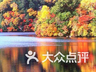 小人国救援